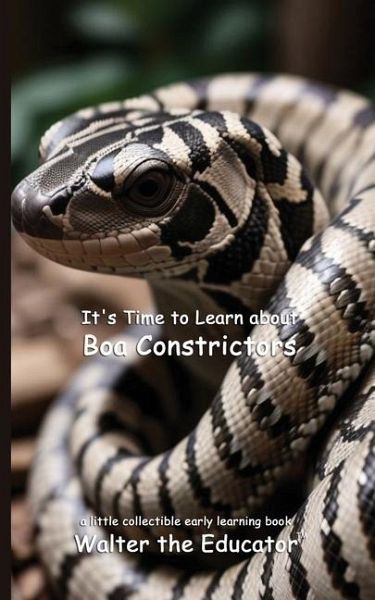 It's Time to Learn about Boa Constrictors It's Time to Learn about Boa Constrictors