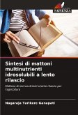 Sintesi di mattoni multinutrienti idrosolubili a lento rilascio Sintesi di mattoni multinutrienti idrosolubili a lento rilascio
