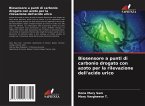 Biosensore a punti di carbonio drogato con azoto per la rilevazione dell'acido urico Biosensore a punti di carbonio drogato con azoto per la rilevazione dell'acido urico