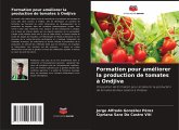 Formation pour améliorer la production de tomates à Ondjiva Formation pour améliorer la production de tomates à Ondjiva
