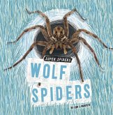 Wolf Spiders Wolf Spiders