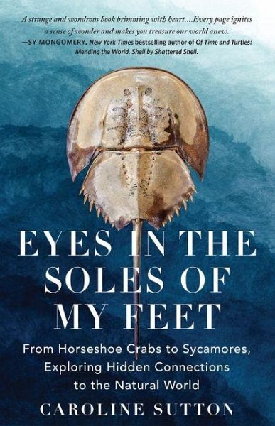 Eyes in the Soles of My Feet Eyes in the Soles of My Feet