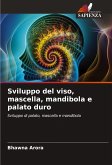 Sviluppo del viso, mascella, mandibola e palato duro