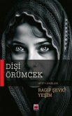 Disi Örümcek Disi Örümcek