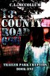 13 County Road 666 (eBook, ePUB) - Bild 1
