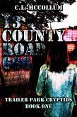 13 County Road 666 (eBook, ePUB)