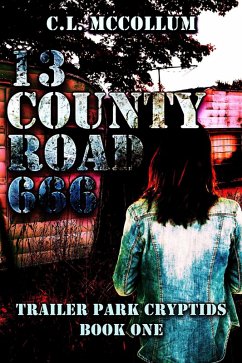 Cover 13 County Road 666 (eBook, ePUB)