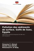 Pollution des sédiments de surface. Golfe de Suez, Égypte Pollution des sédiments de surface. Golfe de Suez, Égypte