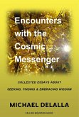 Encounters with the Cosmic Messenger (eBook, ePUB)