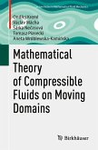 Mathematical Theory of Compressible Fluids on Moving Domains (eBook, PDF)