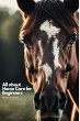 All about Horse Care for Beginners... - Bild 1