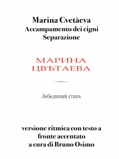 Cover Accampamento dei cigni - Separazione (eBook, ePUB)