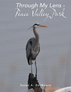 Through My Lens - Peace Valley Park (eBook, ePUB) - DelMoore, Susan A.
