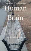 Human Brain (eBook, ePUB) Human Brain (eBook, ePUB)
