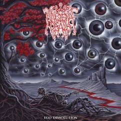Cover Ego Dissolution