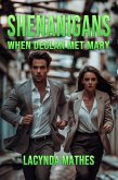 Shenanigans: When Declan Met Mary (eBook, ePUB) Shenanigans: When Declan Met Mary (eBook, ePUB)