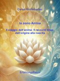 Io sono Anima Il viaggio dell'anima: (eBook, ePUB)