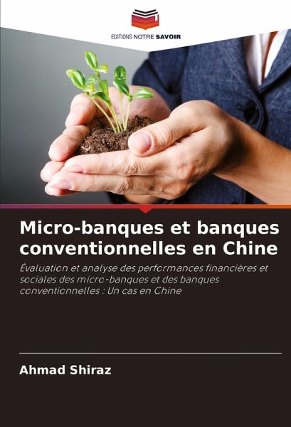 Micro-banques et banques conventionnelles en Chine Micro-banques et banques conventionnelles en Chine