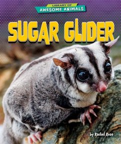 Cover Sugar Glider