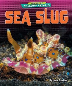 Cover Sea Slug