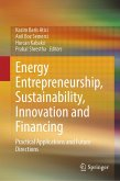 Energy Entrepreneurship, Sustainability, Innovation and Financing (eBook, PDF)