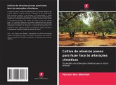 Cultivo de oliveiras jovens para fazer face às alterações climáticas Cultivo de oliveiras jovens para fazer face às alterações climáticas