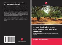 Cover Cultivo de oliveiras jovens para fazer face às alterações climáticas