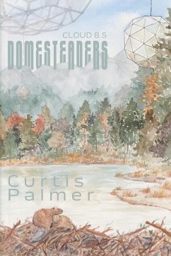 Cover Domesteaders