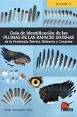 GUIA DE IDENTIFICACION DE LAS PLUMAS DE LAS RAPACES DIURNAS DE LA PENINSULA IBER GUIA DE IDENTIFICACION DE LAS PLUMAS DE LAS RAPACES DIURNAS DE LA PENINSULA IBER