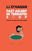Fast Asleep In Terrapin Soup Fast Asleep In Terrapin Soup