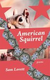 American Squirrel American Squirrel
