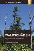 Waldschäden (eBook, PDF) Waldschäden (eBook, PDF)