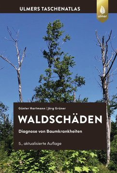 Cover Waldschäden (eBook, PDF)