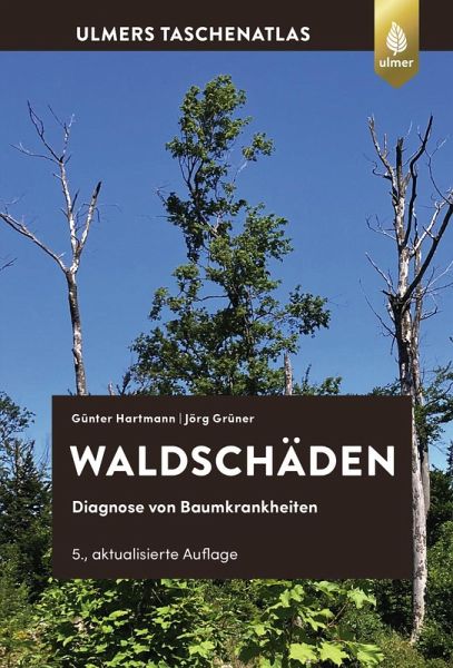 Waldschäden (eBook, PDF)