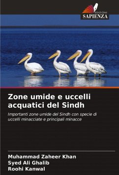 Cover Zone umide e uccelli acquatici del Sindh