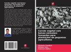 Carvão vegetal com baixas emissões: Inovações para plantações de pequenos agricultores