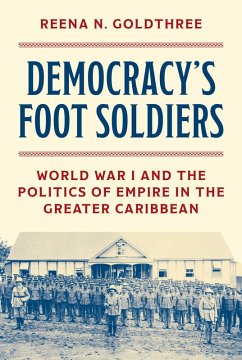Cover Democracy's Foot Soldiers (eBook, ePUB)