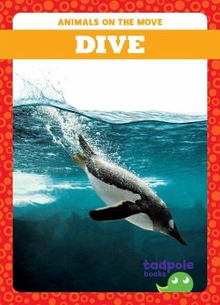 Cover Dive