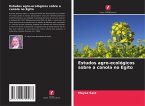 Estudos agro-ecológicos sobre a canola no Egito