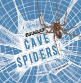Cave Spiders Cave Spiders