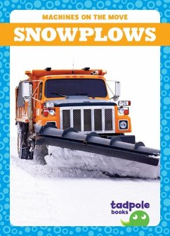Cover Snowplows