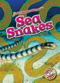 Sea Snakes
