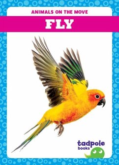 Cover Fly