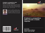 Problemi e prospettive delle piccole e medie imprese