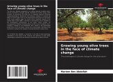 Growing young olive trees in the face of climate change Growing young olive trees in the face of climate change