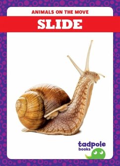 Cover Slide