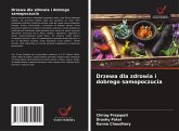 Drzewa dla zdrowia i dobrego samopoczucia Drzewa dla zdrowia i dobrego samopoczucia