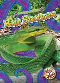 Rat Snakes