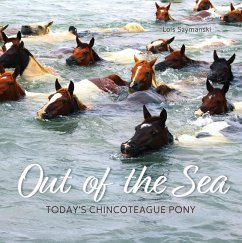 Cover Out of the Sea