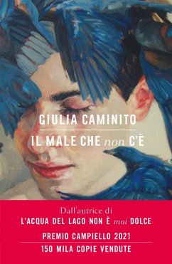 Cover Il male che non c'è